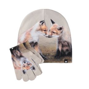 Molo Kaya asustesetti, fox cubs