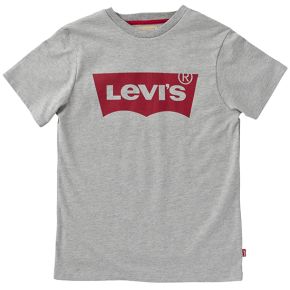 Kortärmad t-shirt med batwing-logotyp, grå