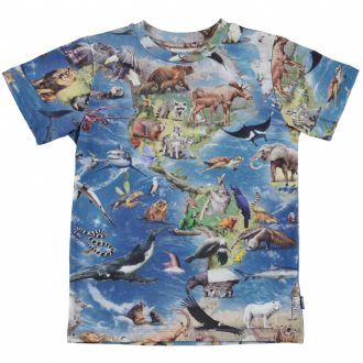 Molo Ralphie SS t-shirt, amazing earth