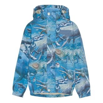 Molo Waiton windbreaker jacket, big ancient sea