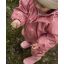 CeLaVi - Rainwear Suit - AOP, w. fleece, brick dust