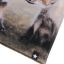 Molo Kaya asustesetti, fox cubs