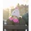 Reima Topsu ullmössa, pale rose